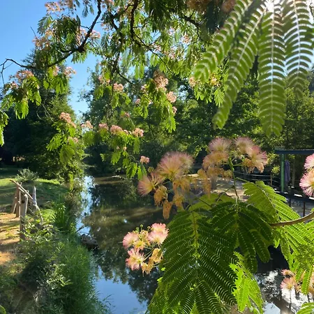 Πανσιόν D'hote Celeste