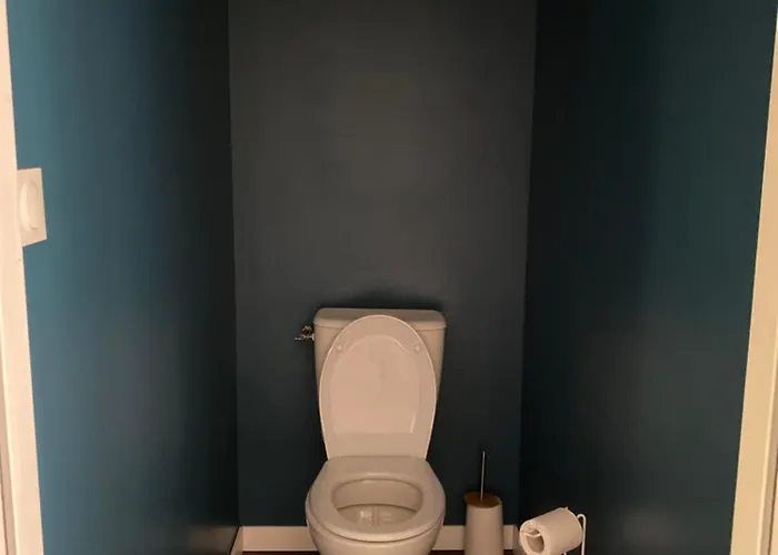 D'hote Celeste بيت ضيافة Le Boupère