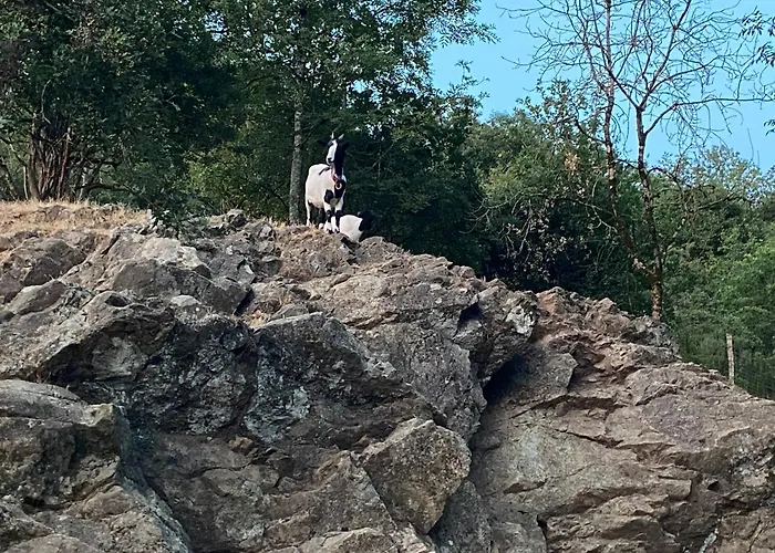 D'hote Celeste 3* Le Boupère