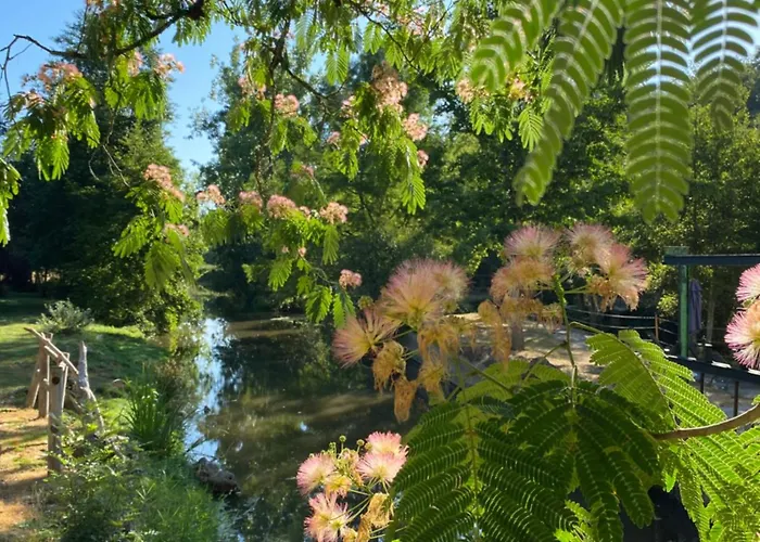 بيت ضيافة D'hote Celeste